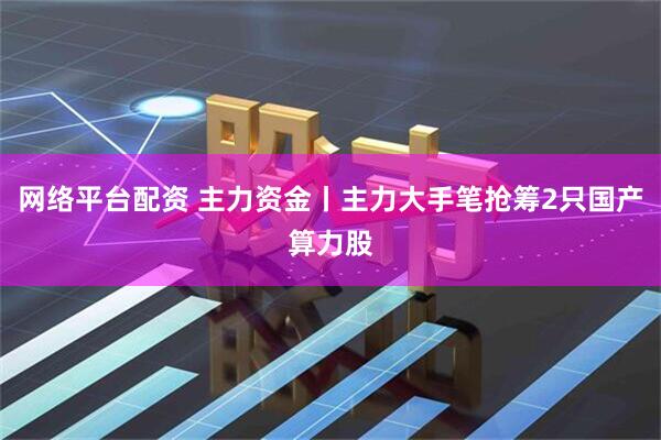 网络平台配资 主力资金丨主力大手笔抢筹2只国产算力股